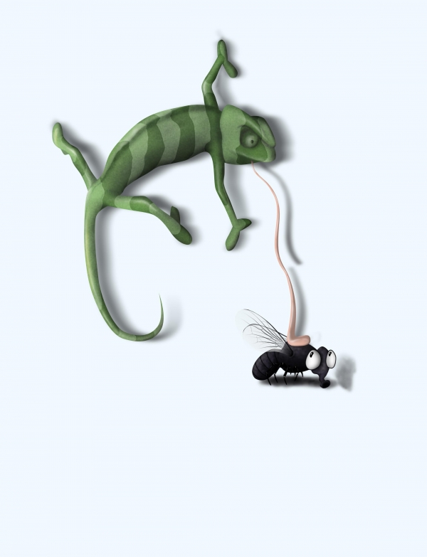 Creation of Camouflaged surprise: Step 6